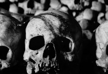 İçgüdüler: Terkettiklerimiz