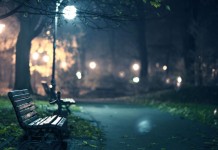 Yolculuk ve Gece Notları