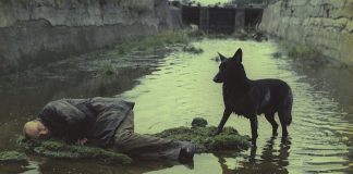Bir Kurtuluş Hikayesi: Stalker