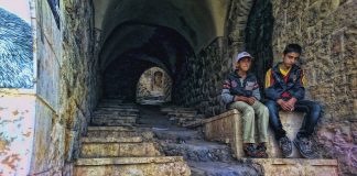 Felsefi Mektuplar: Yaşayan Ölüler ve Acının Olgunluğu