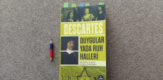 “Duygular Yada Ruh Halleri” Bir ‘Katarsis’ Felsefesi